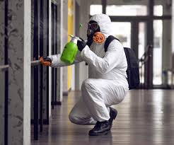 Best Black Mold Removal in USA